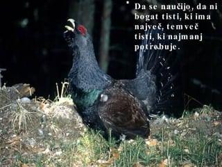 Da se naučijo, da ni bogat tisti, ki ima največ, temveč tisti, ki najmanj potrebuje.  