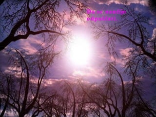 Da se naučijo odpuščati.  