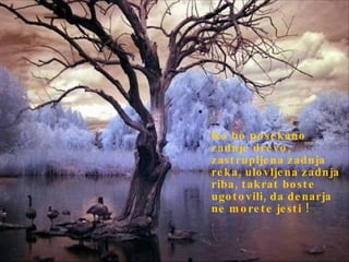 --  Ko bo posekano zadnje drevo, zastrupljena zadnja reka, ulovljena zadnja riba, takrat boste ugotovili, da denarja ne morete jesti !  