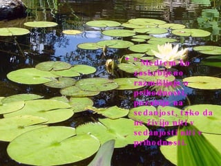 " Medtem ko zaskrbljeno razmišljajo o prihodnosti, pozabijo na sedanjost, tako da ne živijo niti v sedanjosti niti v prihodnosti. 