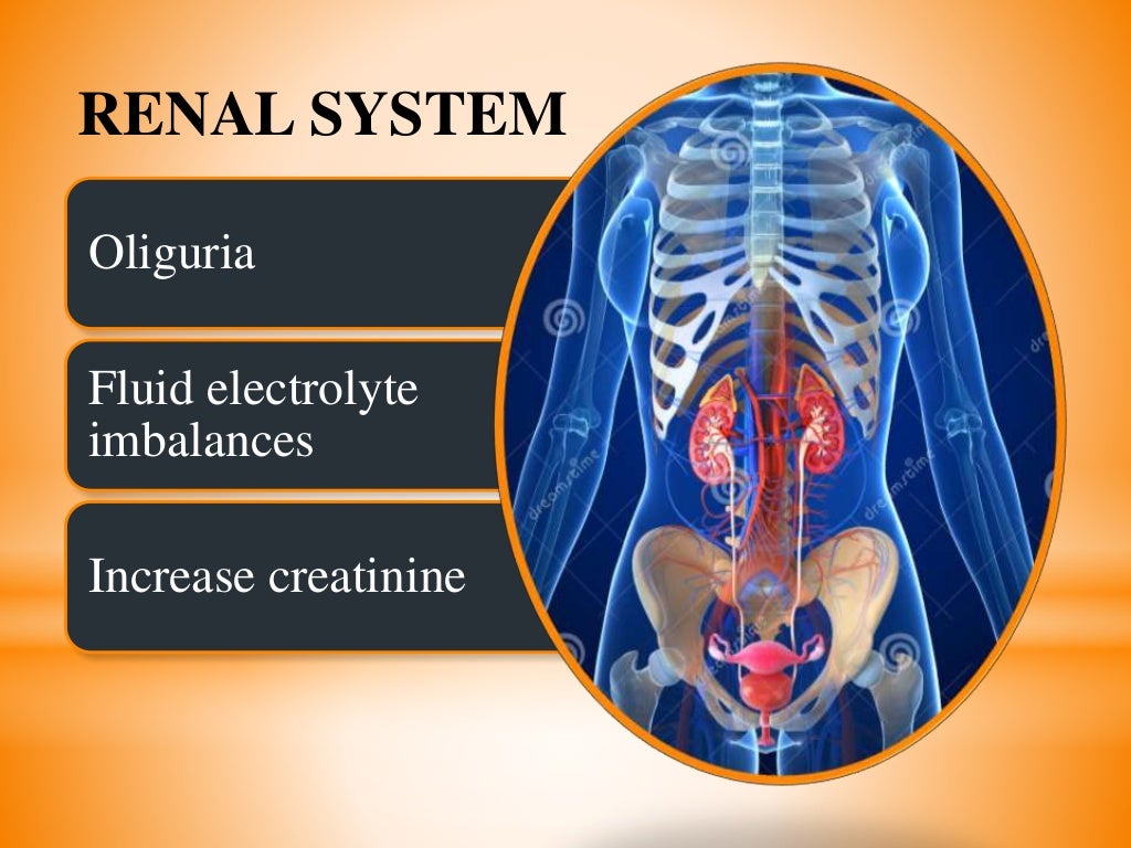 Multiple organ dysfunction syndrome mods 