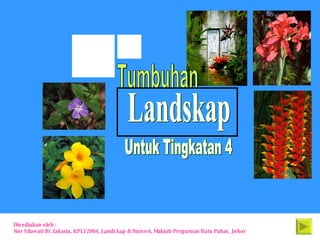 Disediakan oleh :  Nor Silawati Bt Zakaria, KPLI 2004, Landskap & Nurseri, Maktab Perguruan Batu Pahat, Johor Tumbuhan Untuk Tingkatan 4 Landskap 