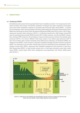 Konsep Riid Modul Konsep REDD+ | PDF