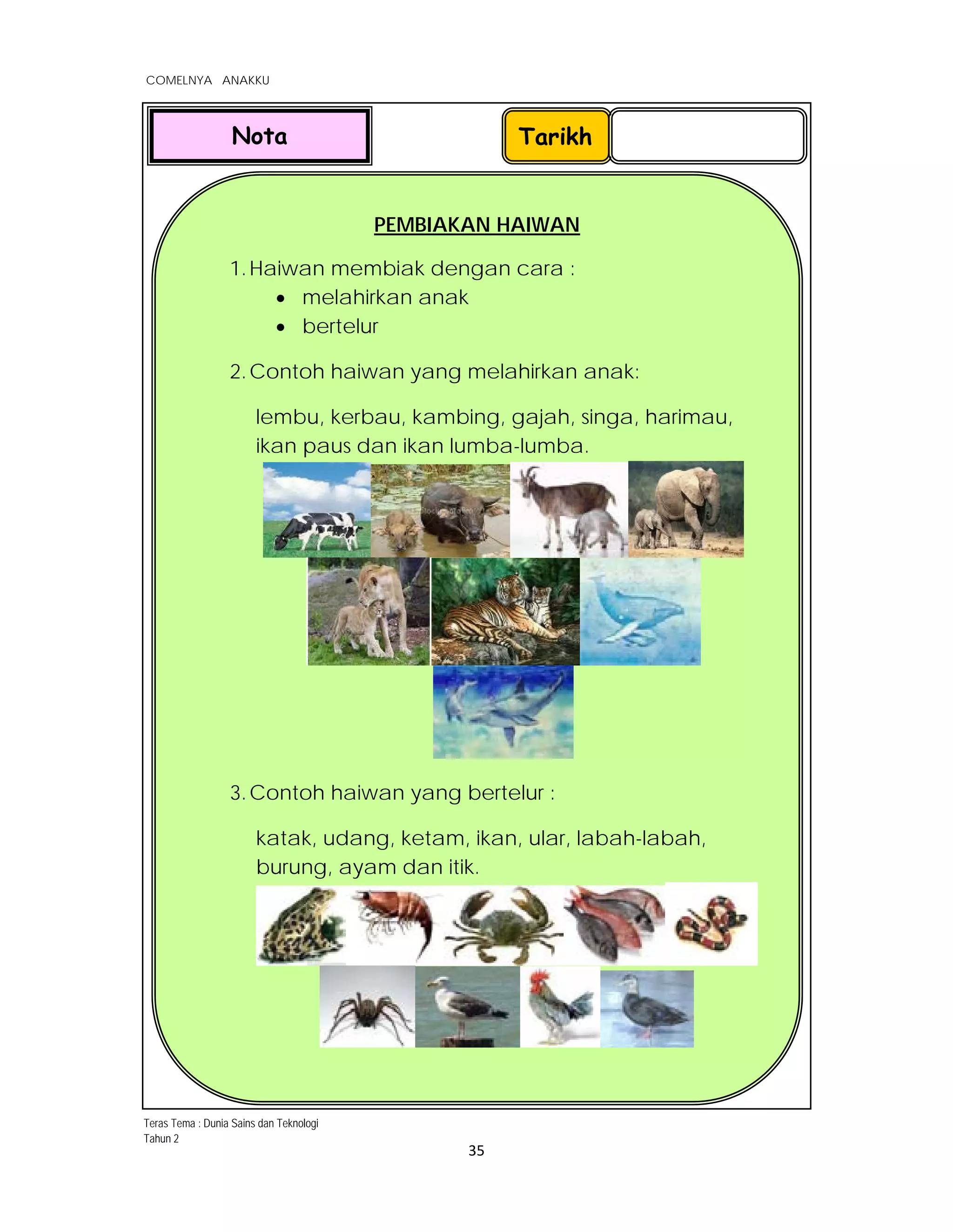 
COMELNYA ANAKKU
 
 
35 
 
TarikhNota
PEMBIAKAN HAIWAN
1.Haiwan membiak dengan cara :
 melahirkan anak
 bertelur
2.Contoh haiwan yang melahirkan anak:
lembu, kerbau, kambing, gajah, singa, harimau,
ikan paus dan ikan lumba-lumba.
3.Contoh haiwan yang bertelur :
katak, udang, ketam, ikan, ular, labah-labah,
burung, ayam dan itik.
Teras Tema : Dunia Sains dan Teknologi
Tahun 2
 