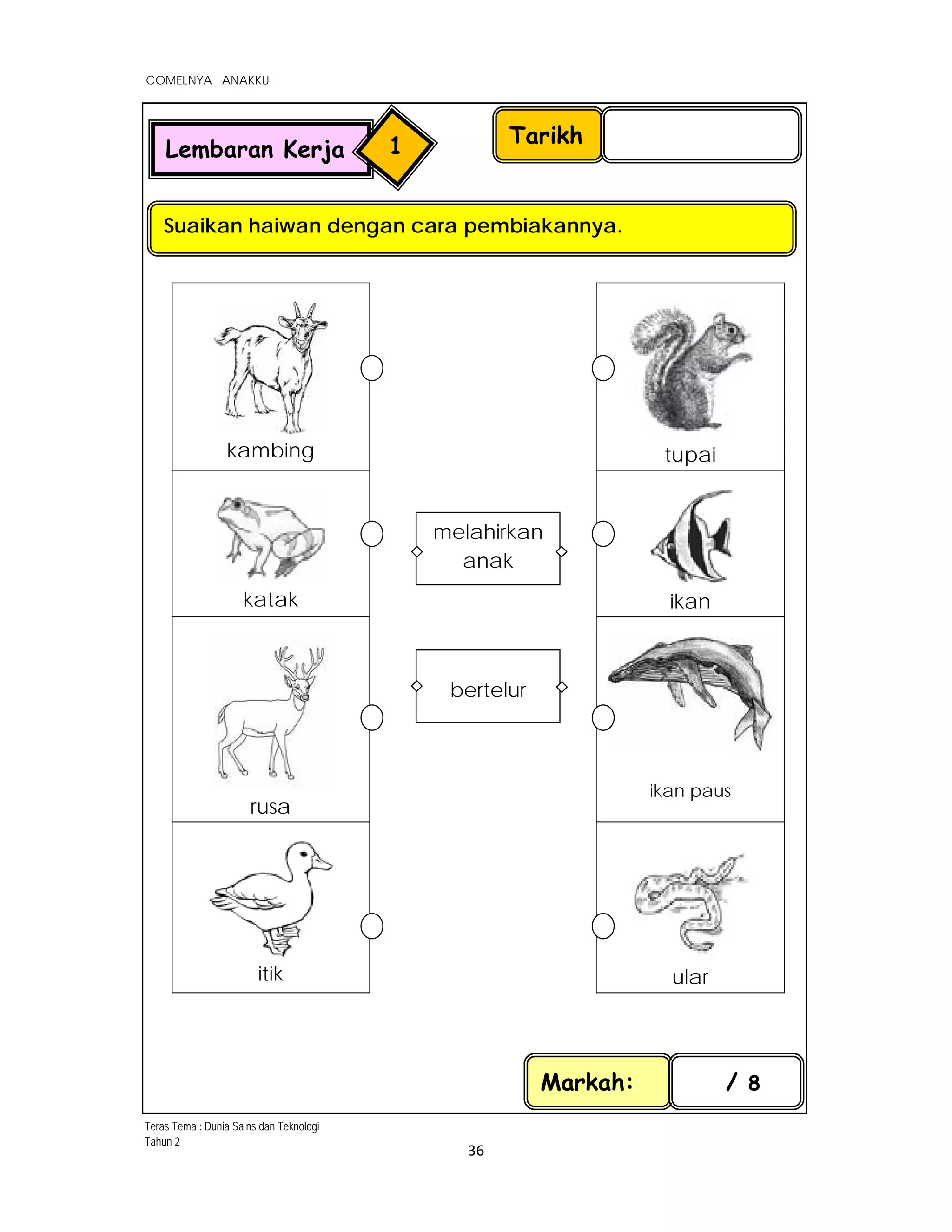 
COMELNYA ANAKKU
 
 
36 
 
kambing tupai
katak
 
 
ikan
rusa
ikan paus
itik ular
Tarikh
Suaikan haiwan dengan cara pembiakannya.
Markah: / 8
Lembaran Kerja 1
melahirkan
anak
bertelur
Teras Tema : Dunia Sains dan Teknologi
Tahun 2
 