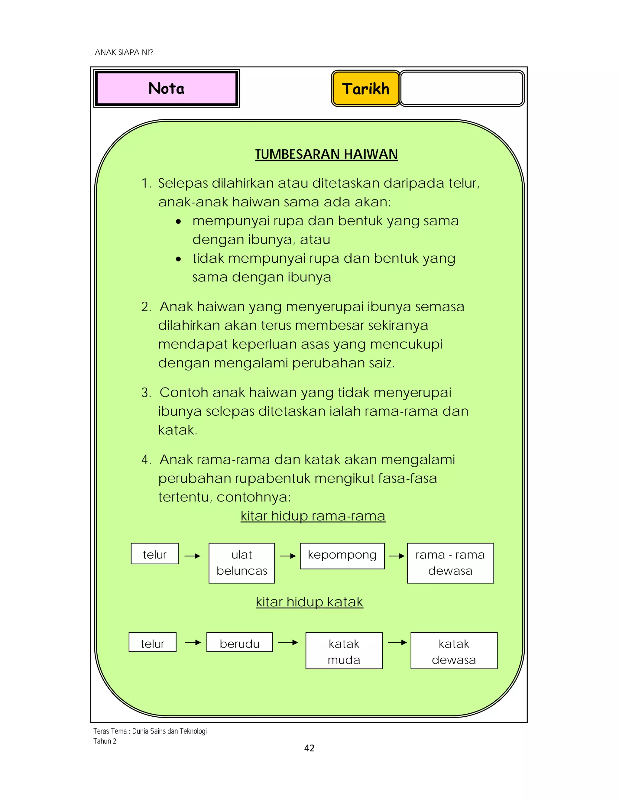  
ANAK SIAPA NI?
 
 
42 
 
TUMBESARAN HAIWAN
1. Selepas dilahirkan atau ditetaskan daripada telur,
anak-anak haiwan sama ada akan:
 mempunyai rupa dan bentuk yang sama
dengan ibunya, atau
 tidak mempunyai rupa dan bentuk yang
sama dengan ibunya
2. Anak haiwan yang menyerupai ibunya semasa
dilahirkan akan terus membesar sekiranya
mendapat keperluan asas yang mencukupi
dengan mengalami perubahan saiz.
3. Contoh anak haiwan yang tidak menyerupai
ibunya selepas ditetaskan ialah rama-rama dan
katak.
4. Anak rama-rama dan katak akan mengalami
perubahan rupabentuk mengikut fasa-fasa
tertentu, contohnya:
kitar hidup rama-rama
 
 
kitar hidup katak
 
TarikhNota
telur  berudu katak
muda
katak
dewasa
telur ulat
beluncas
kepompong  rama - rama
dewasa
Teras Tema : Dunia Sains dan Teknologi
Tahun 2
 