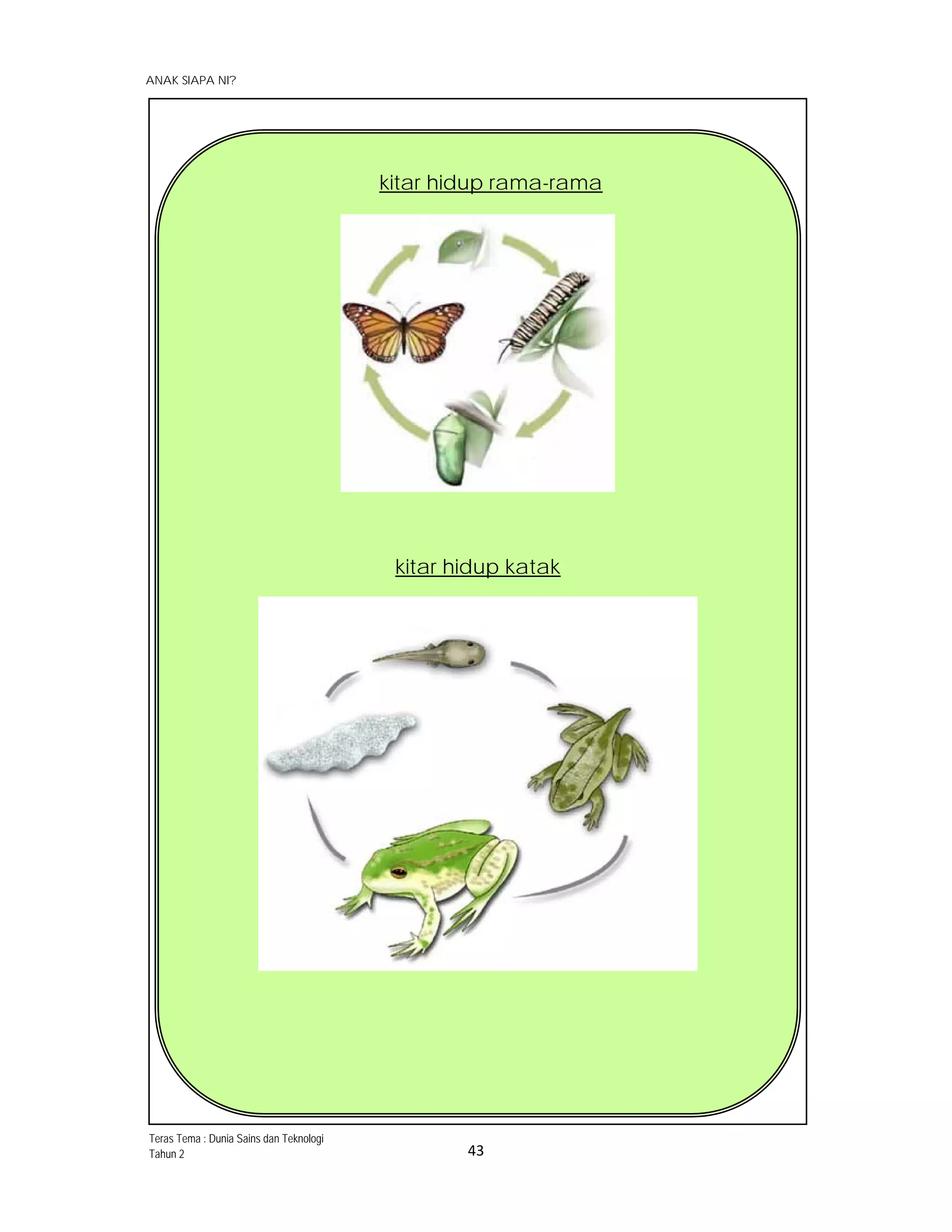  
ANAK SIAPA NI?
 
 
43 
 
kitar hidup rama-rama
 
kitar hidup katak
 
Teras Tema : Dunia Sains dan Teknologi
Tahun 2
 