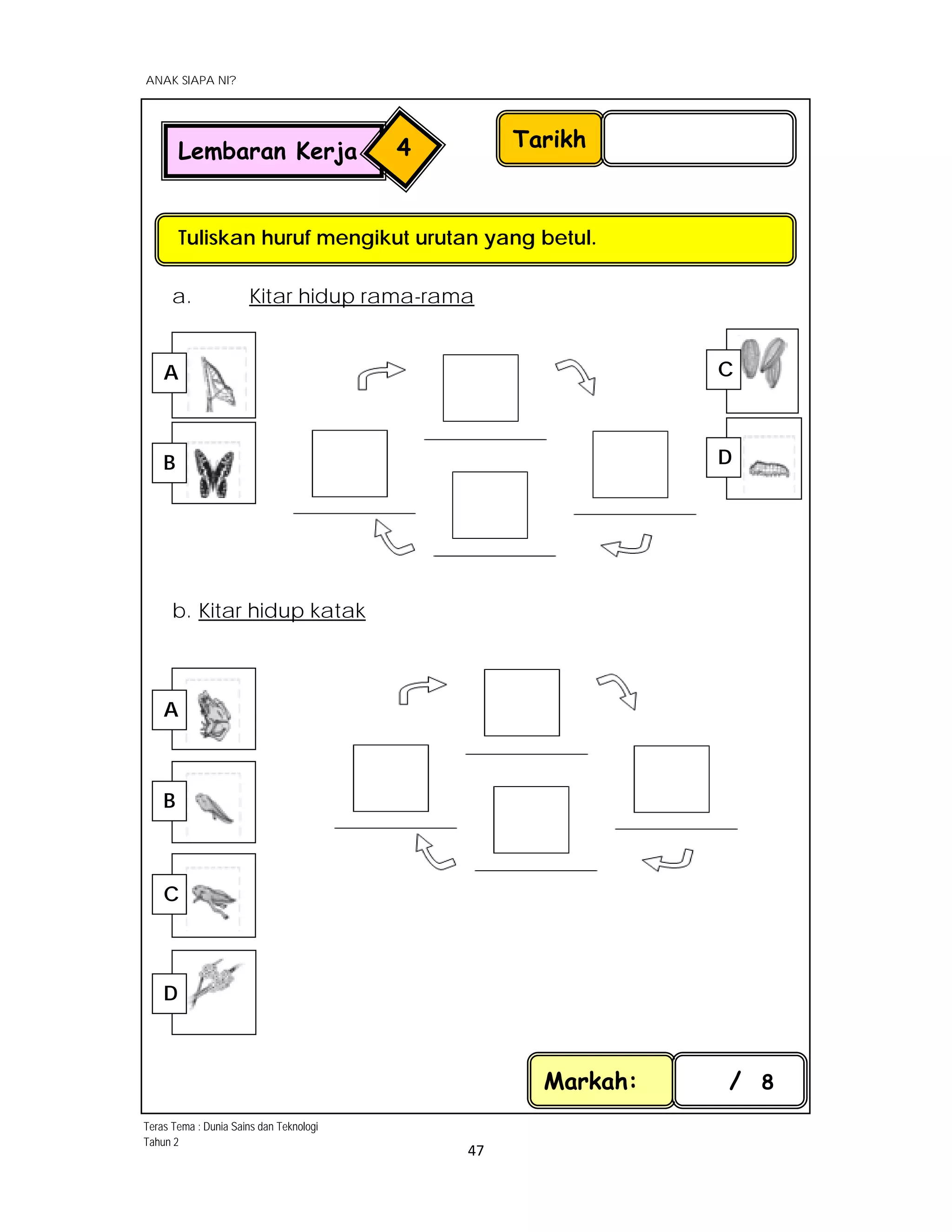  
ANAK SIAPA NI?
 
 
47 
 
a. Kitar hidup rama-rama
b. Kitar hidup katak
TarikhLembaran Kerja 4
Markah: / 8
Tuliskan huruf mengikut urutan yang betul.
 
A
B
C
A
B
 
C
D
D
Teras Tema : Dunia Sains dan Teknologi
Tahun 2
 