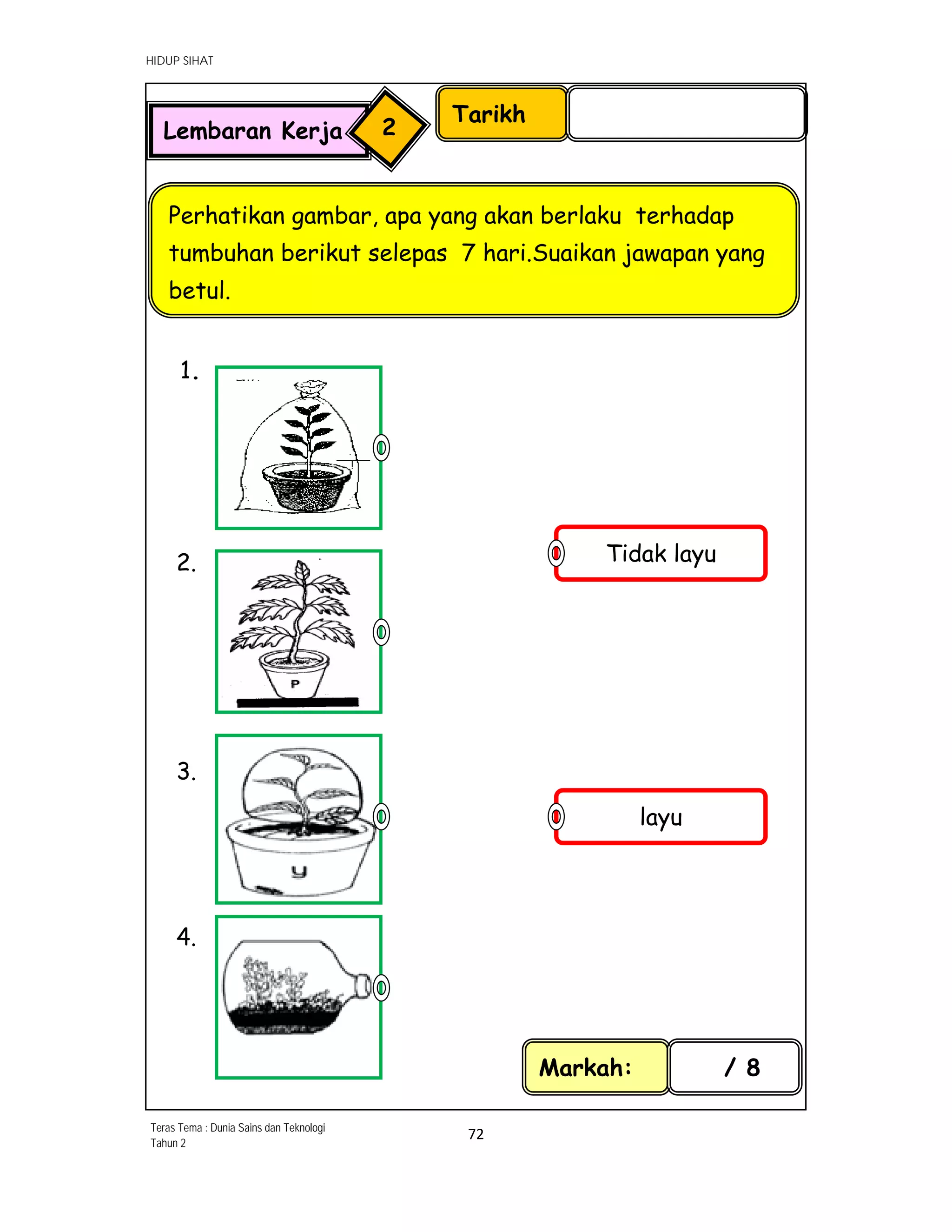 HIDUP SIHAT
72 
 
1.
2.
3.
4.
Tarikh
Perhatikan gambar, apa yang akan berlaku terhadap
tumbuhan berikut selepas 7 hari.Suaikan jawapan yang
betul.
Markah: / 8
Lembaran Kerja 2
layu
Tidak layu
Teras Tema : Dunia Sains dan Teknologi
Tahun 2
 