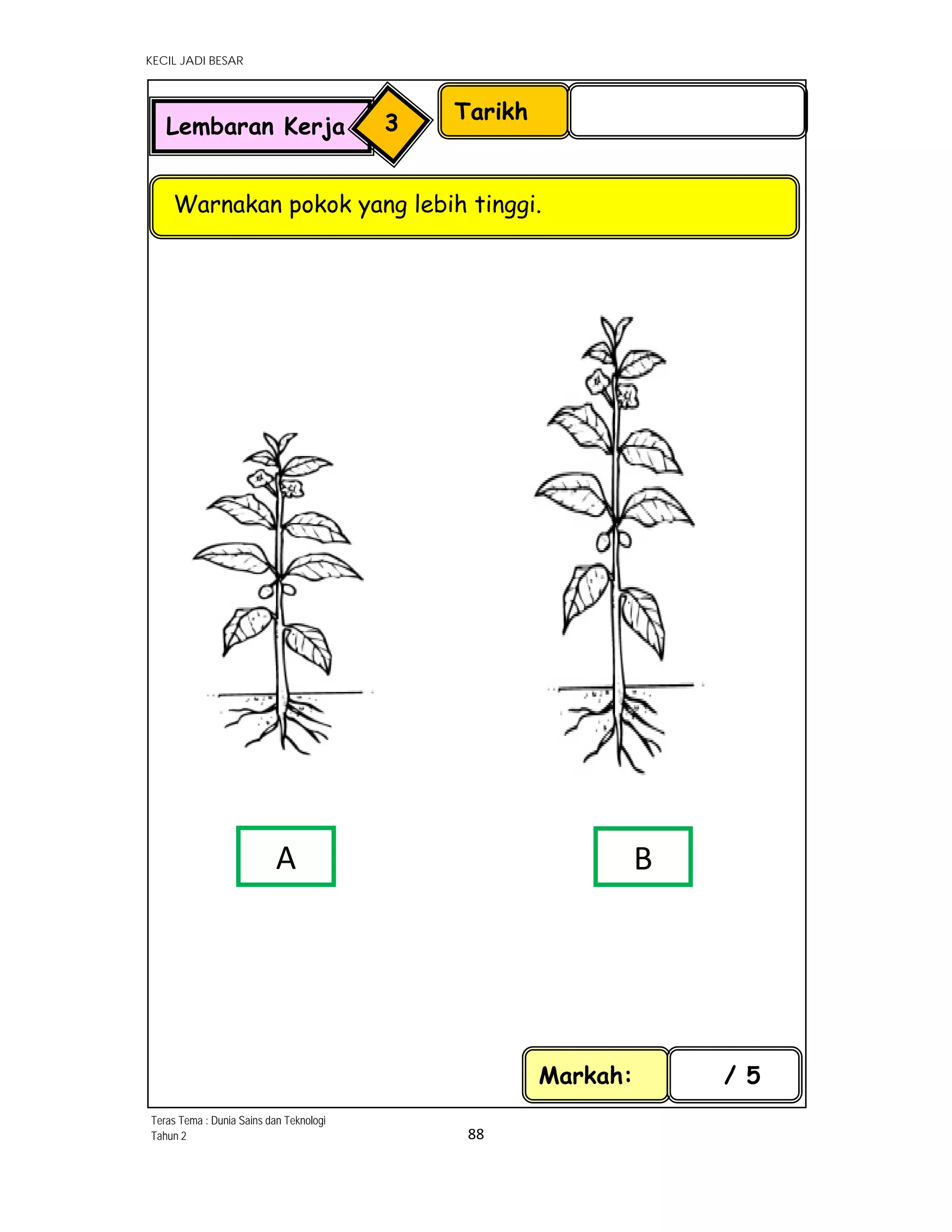 KECIL JADI BESAR
88 
 
Markah: / 5
Tarikh
Warnakan pokok yang lebih tinggi.
Lembaran Kerja 3
A  B
Teras Tema : Dunia Sains dan Teknologi
Tahun 2
 