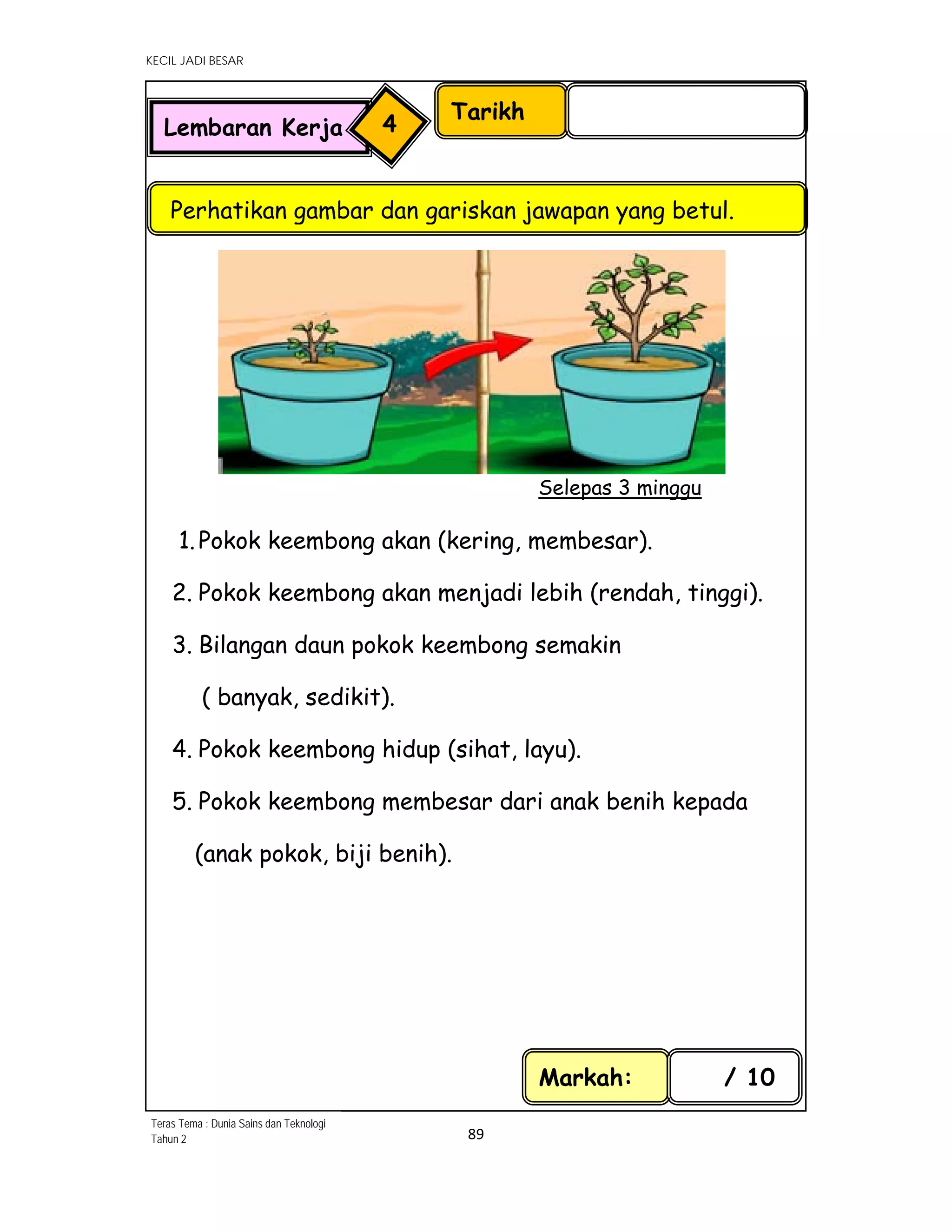 KECIL JADI BESAR
89 
 
1.Pokok keembong akan (kering, membesar).
2. Pokok keembong akan menjadi lebih (rendah, tinggi).
3. Bilangan daun pokok keembong semakin
( banyak, sedikit).
4. Pokok keembong hidup (sihat, layu).
5. Pokok keembong membesar dari anak benih kepada
(anak pokok, biji benih).
Markah: / 10
Tarikh
Perhatikan gambar dan gariskan jawapan yang betul.
Lembaran Kerja 4
Selepas 3 minggu
Teras Tema : Dunia Sains dan Teknologi
Tahun 2
 