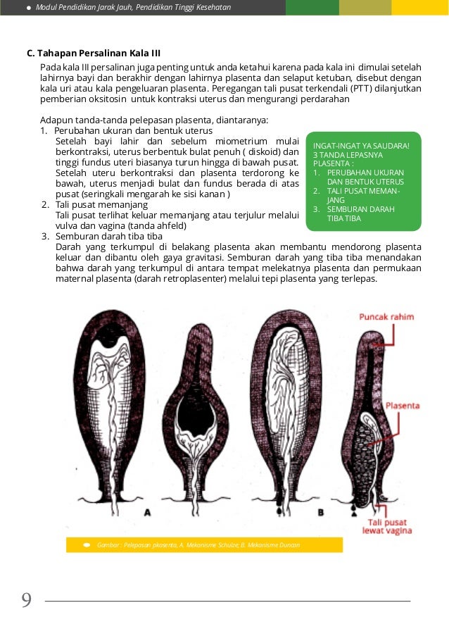 Modul 1 kb 2