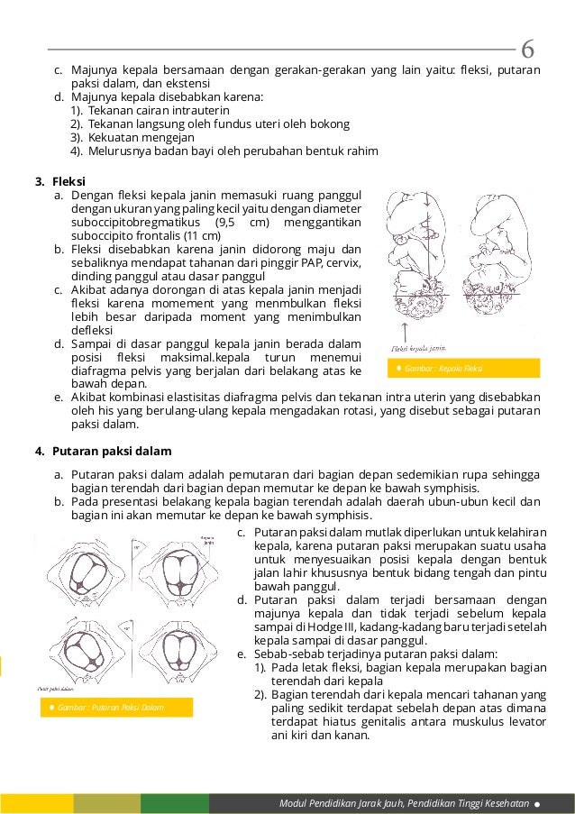 Modul 1 kb 2