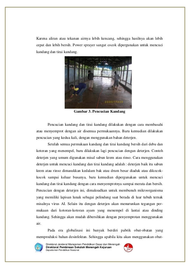 Modul Ayam Broiler