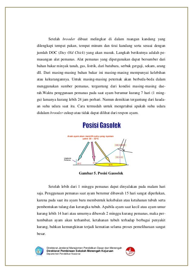 Modul Ayam Broiler