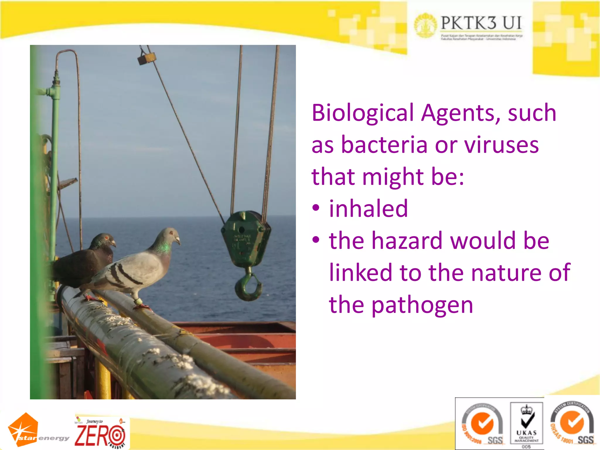 Biological Agents, such
as bacteria or viruses
that might be:
• inhaled
• the hazard would be
linked to the nature of
the pathogen
 