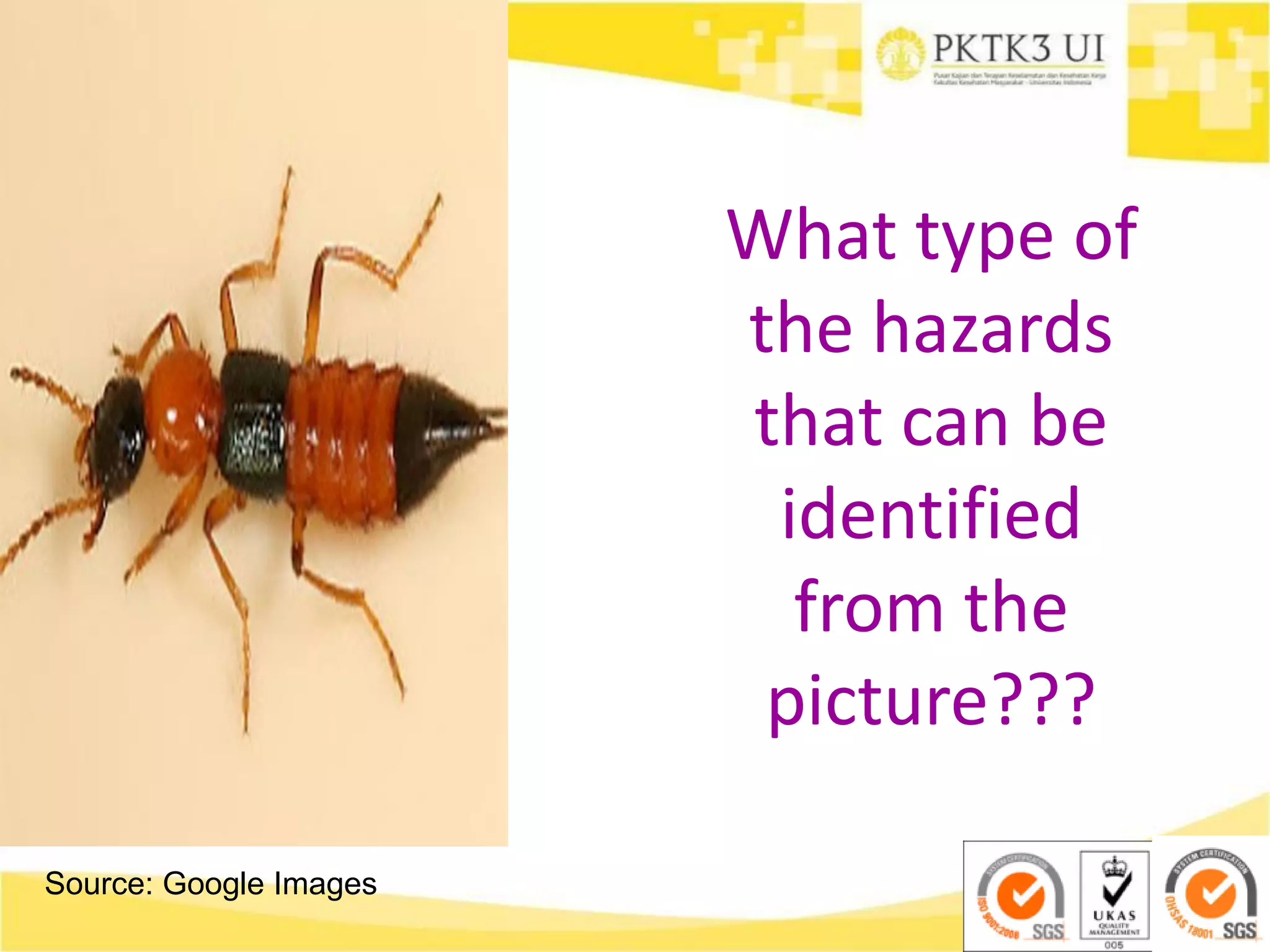 Source: Google Images
What type of
the hazards
that can be
identified
from the
picture???
 