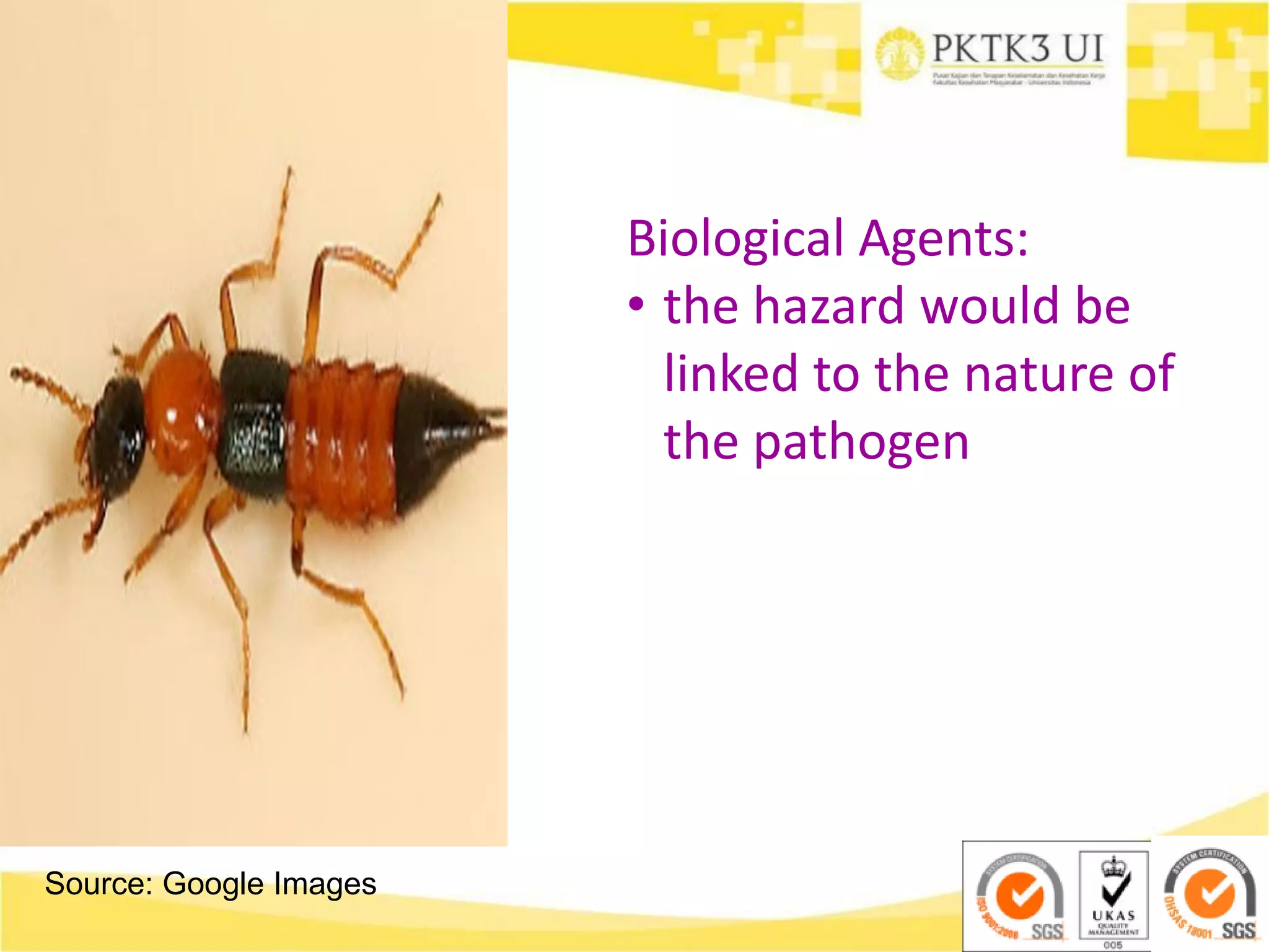 Source: Google Images
Biological Agents:
• the hazard would be
linked to the nature of
the pathogen
 