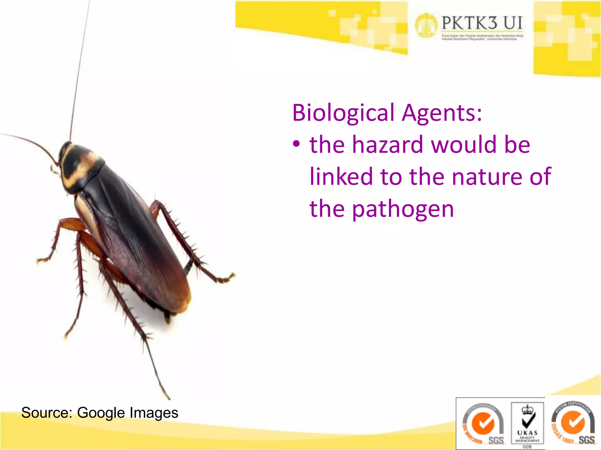 Source: Google Images
Biological Agents:
• the hazard would be
linked to the nature of
the pathogen
 