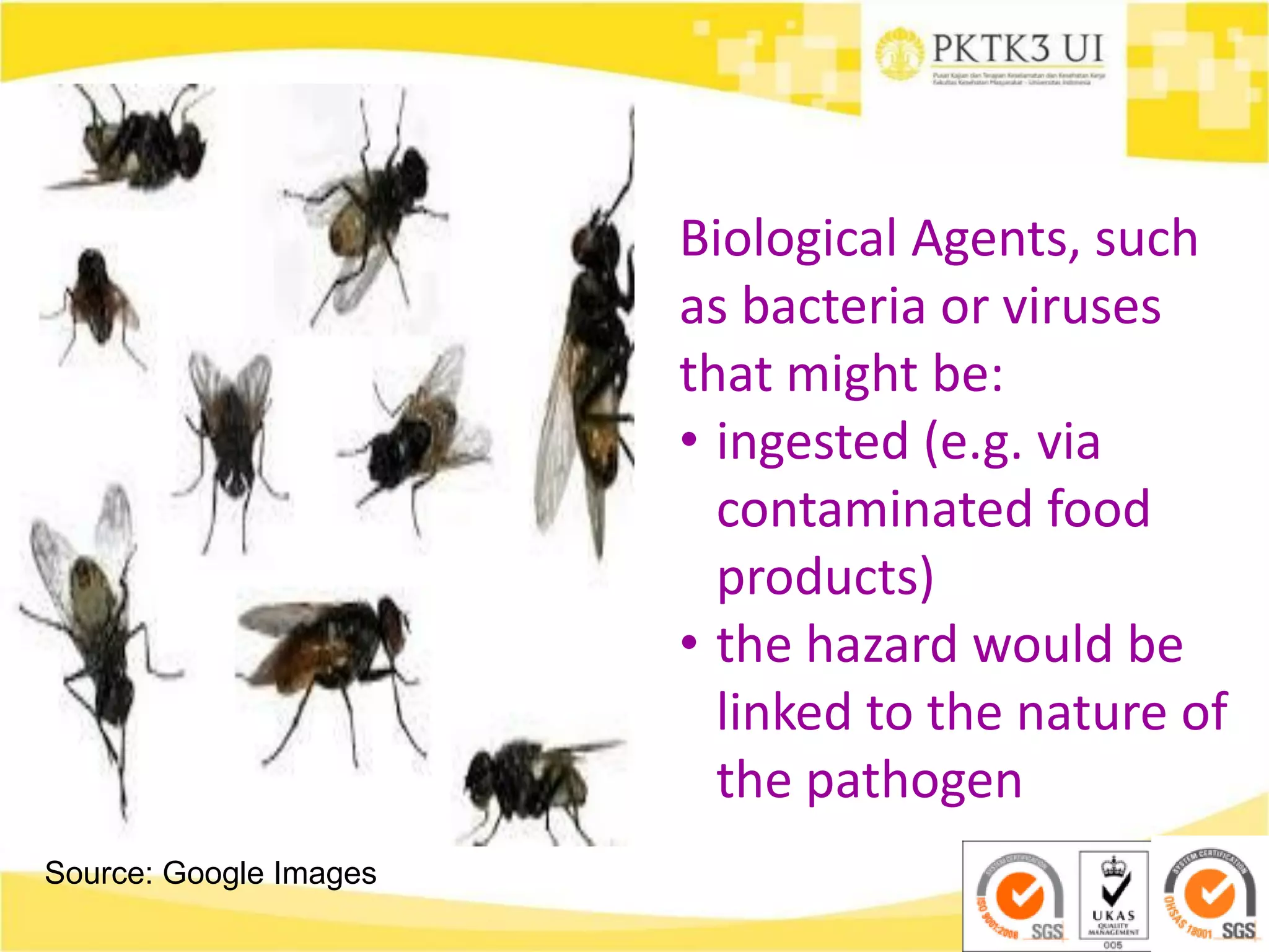 Source: Google Images
Biological Agents, such
as bacteria or viruses
that might be:
• ingested (e.g. via
contaminated food
products)
• the hazard would be
linked to the nature of
the pathogen
 
