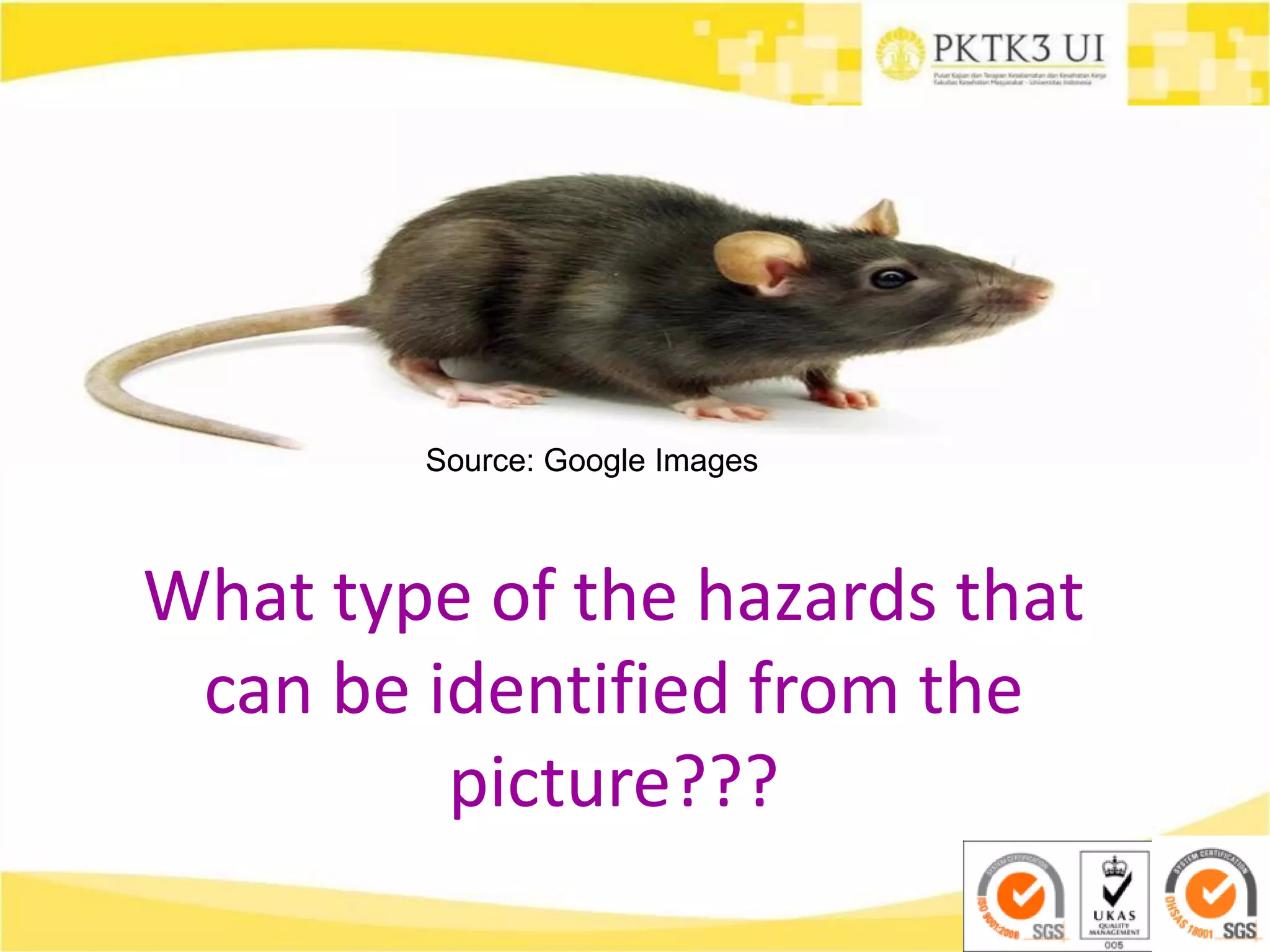 Source: Google Images
Source: Google Images
What type of the hazards that
can be identified from the
picture???
 