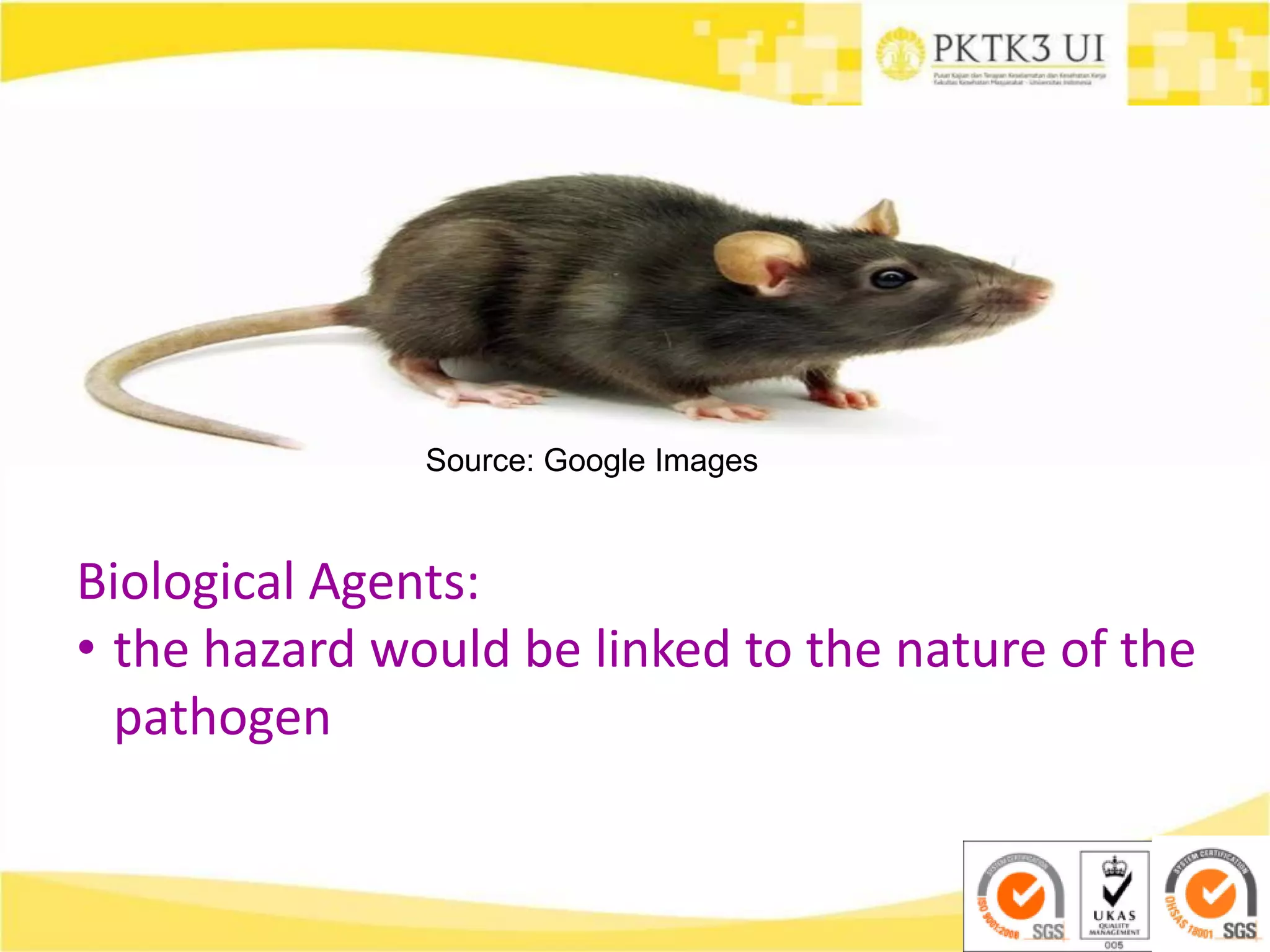 Source: Google Images
Biological Agents:
• the hazard would be linked to the nature of the
pathogen
 