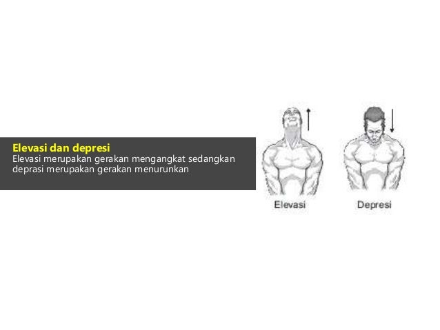 Modul 1 kb 1