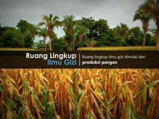 1
Ruang lingkup ilmu gizi dimulai dari
produksi pangan
Ruang Lingkup
Ilmu Gizi
 