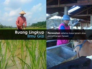 1
Perawatan selama masa tanam atau
pemeliharaan hewan
Ruang Lingkup
Ilmu Gizi
 