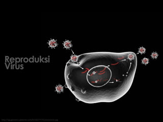 Reproduksi
Virus

http://sgugenetics.pbworks.com/f/1352777751/entrance.jpg

 