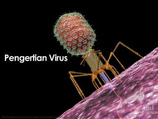 Pengertian Virus

http://images.fineartamerica.com/images-medium-large/bacteriophage-t4-injecting-russell-kightley.jpg

 