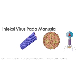 Infeksi Virus Pada Manusia

http://www.sciencelearn.org.nz/var/sciencelearn/storage/images/contexts/fighting-infection/sci-media/images/virus/298120-1-eng-NZ/Virus.jpg

 