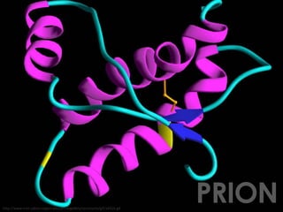 http://www-nmr.cabm.rutgers.edu/photogallery/structures/gif/1AG2z.gif

PRION

 