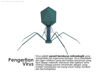 http://cronodon.com/images/Virus3.jpg

Pengertian
Virus

Virus adalah parasit berukuran mikroskopik yang
menginfeksi sel organisme biologis. Virus dibedakan
dari agen infeksius yang lain karena ukurannya yang
kecil (dapat melewati membran filter bakteri) serta
sifatnya sebagai parasit intraseluler obligat, yang
mutlak memerlukan sel inang untuk hidup, tumbuh
dan bermultiplikasi

 