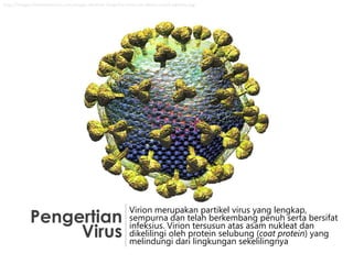 http://images.fineartamerica.com/images-medium-large/hiv-virion-on-white-russell-kightley.jpg

Pengertian
Virus

Virion merupakan partikel virus yang lengkap,
sempurna dan telah berkembang penuh serta bersifat
infeksius. Virion tersusun atas asam nukleat dan
dikelilingi oleh protein selubung (coat protein) yang
melindungi dari lingkungan sekelilingnya

 