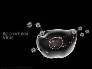 Reproduksi
Virus
http://sgugenetics.pbworks.com/f/1352777751/entrance.jpg
 