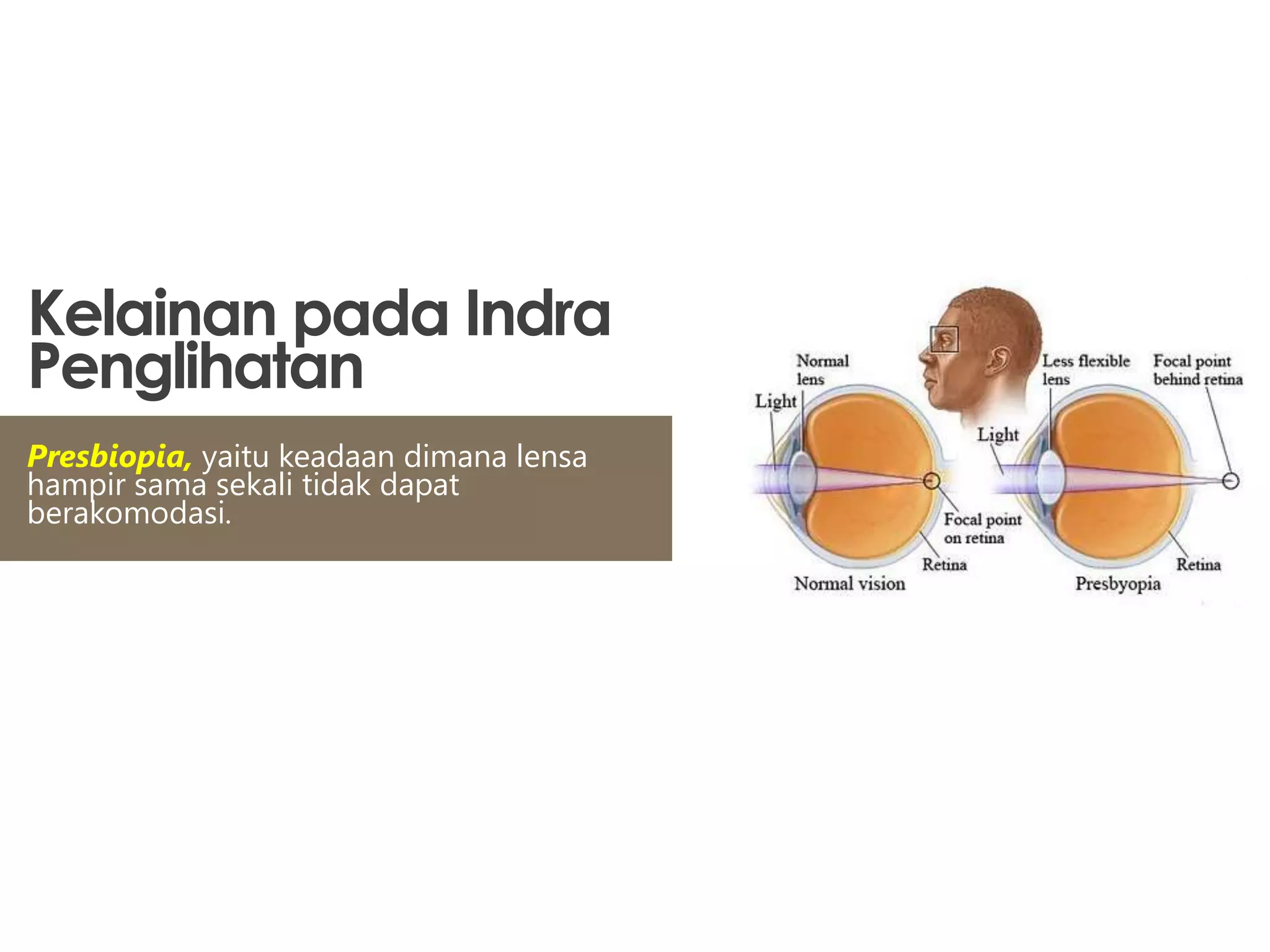 Sistem Penginderaan | PPT