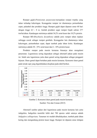 Rumput gajah (Pennisetum purpureum) merupakan rumput tropika yang
tahan terhadap kekeringan. Keunggulan rumput ini diantaranya pertumbuhan
cepat, palatabel dan produksi tinggi. Rumput gajah dapat dipanen umur 60 hari
dengan tinggi 4,5 - 8 m. Jumlah produksi segar rumput Gajah sekitar 277
ton/ha/tahun. Kandungan nutriennya adalah 34,2% serat kasar dan 10,2% protein.
Rumput BD (Brachiaria decumbens) adalah jenis rumput tahan injakan
sehingga cocok sebagai rumput gembala. Keunggulan lain diantaranya tahan
kekeringan, pertumbuhan cepat, dapat tumbuh pada lahan kritis. Kandungan
nutriennya adalah 30 - 35% serat kasar dan 6 - 10% protein kasar.
Produksi rumput pada musim kemarau biasanya akan mengalami
penurunan. Leguminosa sering digunakan sebagai alternatif pakan pada musim
ini. Salah satu leguminosa yaitu daun gamal sering digunakan sebagai pengganti
hijauan. Daun gamal dapat bertahan pada musim kemarau. Konsumsi daun gamal
pada ternak sapi yang digembalakan disajikan pada tabel berikut.
Gambar 2. Konsumsi daun gamal pada musim kemarau
Sumber: Tiro dan Usman (2015)
Alternatif sumber pakan dari leguminosa pada musim kemarau lain yaitu
indigofera. Indigofera memiliki lebih dari 700 spesies salah satunya adalah
Indigofera zollingeriana. Tanaman ini mudah dibudidayakan, tumbuh pada lahan
kering dan mengandung protein kasar tinggi. Rumput ini dipanen umur delapan
 