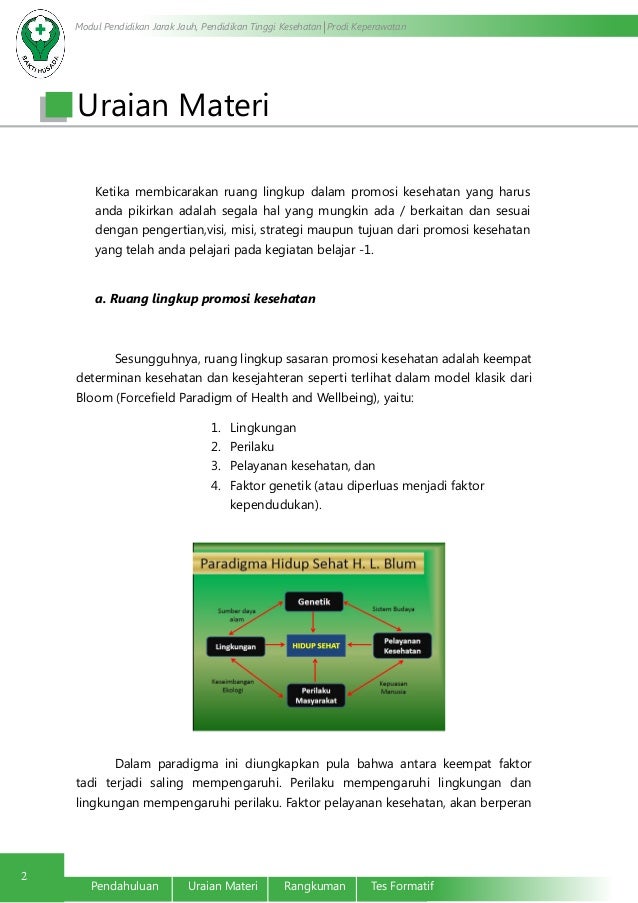 Ruang Lingkup Dan Prinsip Promosi Kesehatan