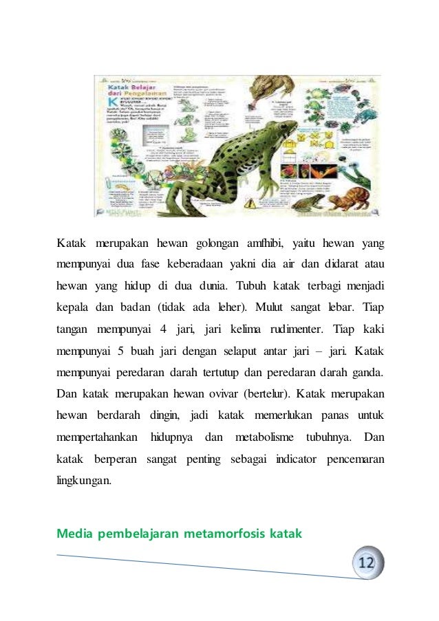 Katak Berdarah Dingin