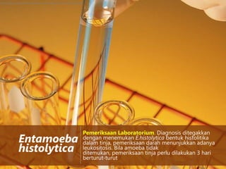 http://www.kapsulminyakikan.com/images/uji+minyak+ikan.jpg

Entamoeba
histolytica

Pemeriksaan Laboratorium. Diagnosis ditegakkan
dengan menemukan E.histolytica bentuk histolitika
dalam tinja, pemeriksaan darah menunjukkan adanya
leukositosis. Bila amoeba tidak
ditemukan, pemeriksaan tinja perlu dilakukan 3 hari
berturut-turut

 