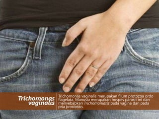 Trichomonas
vaginalis

Trichomonas vaginalis merupakan filum protozoa ordo
flagelata, Manusia merupakan hospes parasit ini dan
menyebabkan Trichomoniasis pada vagina dan pada
pria prostatitis.

 