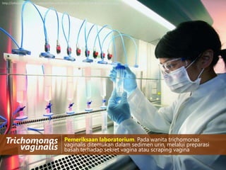 http://infolaboratoriumkesehatan.files.wordpress.com/2012/05/laboratory-safety.jpg

Trichomonas
vaginalis

Pemeriksaan laboratorium. Pada wanita trichomonas
vaginalis ditemukan dalam sedimen urin, melalui preparasi
basah terhadap sekret vagina atau scraping vagina

 