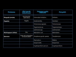 Protozoa

Alat gerak
(lokomosi)
Pseudopodia
(kaki semu)

Patogen pada
manusia

Penyakit

Mastingopora (siliata)
Sporozoa

Silia

Giarda lamblia,

Giardiasis
Trichomoniasis
Trypanosomiasis

Leishmania spp

Flagella

Ambiasis

Trypanosoma sp,

Flagelata

Entamoeba histolytica

Trichomonas vaginalis

Rizopoda (amuba)

Leishmaniasis

Balantidium coli

Balantidiasis

Tidak ada, pergerakan
Toxoplasma gondii, spesies
amuboid sedikit

Toxoplasmosis

Plasmodium,

Malaria

Isospora belli,

Isosporiosis

Cryptosporidium parvum,

Cryptosporidiosis

 