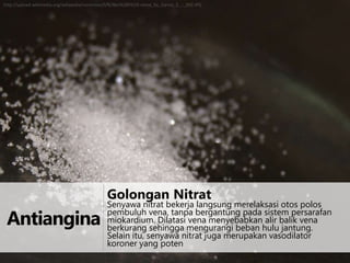 http://upload.wikimedia.org/wikipedia/commons/f/f6/Blei%28II%29-nitrat_by_Danny_S._-_002.JPG

Golongan Nitrat

Antiangina

Senyawa nitrat bekerja langsung merelaksasi otos polos
pembuluh vena, tanpa bergantung pada sistem persarafan
miokardium. Dilatasi vena menyebabkan alir balik vena
berkurang sehingga mengurangi beban hulu jantung.
Selain itu, senyawa nitrat juga merupakan vasodilator
koroner yang poten

 