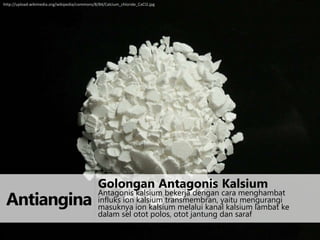 http://upload.wikimedia.org/wikipedia/commons/8/84/Calcium_chloride_CaCl2.jpg

Antiangina

Golongan Antagonis Kalsium

Antagonis kalsium bekerja dengan cara menghambat
influks ion kalsium transmembran, yaitu mengurangi
masuknya ion kalsium melalui kanal kalsium lambat ke
dalam sel otot polos, otot jantung dan saraf

 