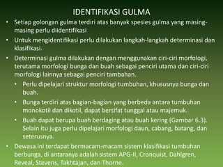 IDENTIFIKASI GULMASetiap golongan gulma terdiri atas banyak spesies gulma yang masing-masing perlu diidentifikasi Untuk mengidentifikasi perlu dilakukan langkah-langkah determinasi dan klasifikasi. Determinasi gulma dilakukan dengan menggunakan ciri-ciri morfologi, terutama morfologi bunga dan buah sebagai penciri utama dan ciri-ciri morfologi lainnya sebagai penciri tambahan. Perlu dipelajari struktur morfologi tumbuhan, khususnya bunga dan buah. Bunga terdiri atas bagian-bagian yang berbeda antara tumbuhan monokotil dan dikotil, dapat bersifat tunggal atau majemuk. Buah dapat berupa buah berdaging atau buah kering (Gambar 6.3). Selain itu juga perlu dipelajari morfologi daun, cabang, batang, dan seterusnya. Dewasa ini terdapat bermacam-macam sistem klasifikasi tumbuhan berbunga, di antaranya adalah sistem APG-II, Cronquist, Dahlgren, Reveal, Stevens, Takhtajan, dan Thorne. 