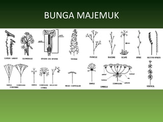 BUNGA MAJEMUK