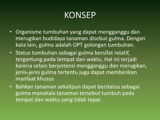 KONSEPOrganisme tumbuhan yang dapat mengganggu dan merugikan budidaya tanaman disebut gulma. Dengan kata lain, gulma adalah OPT golongan tumbuhan.Status tumbuhan sebagai gulma bersifat relatif, tergantung pada tempat dan waktu. Hal ini terjadi karena selain berpotensi mengganggu dan merugikan, jenis-jenis gulma tertentu juga dapat memberikan manfaat khususBahkan tanaman sekalipun dapat berstatus sebagai gulma manakala tanaman tersebut tumbuh pada tempat dan waktu yang tidak tepat