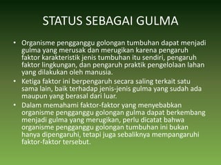 STATUS SEBAGAI GULMAOrganisme pengganggu golongan tumbuhan dapat menjadi gulma yang merusak dan merugikan karena pengaruh faktor karakteristik jenis tumbuhan itu sendiri, pengaruh faktor lingkungan, dan pengaruh praktik pengelolaan lahan yang dilakukan oleh manusia. Ketiga faktor ini berpengaruh secara saling terkait satu sama lain, baik terhadap jenis-jenis gulma yang sudah ada maupun yang berasal dari luar. Dalam memahami faktor-faktor yang menyebabkan organisme pengganggu golongan gulma dapat berkembang menjadi gulma yang merugikan, perlu dicatat bahwa organisme pengganggu golongan tumbuhan ini bukan hanya dipengaruhi, tetapi juga sebaliknya mempangaruhi faktor-faktor tersebut. 